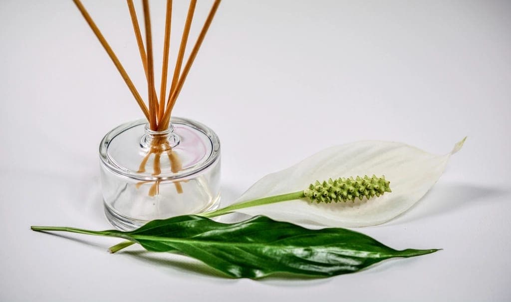 Bình khuếch tán tinh dầu que gỗ cạnh lá xanh