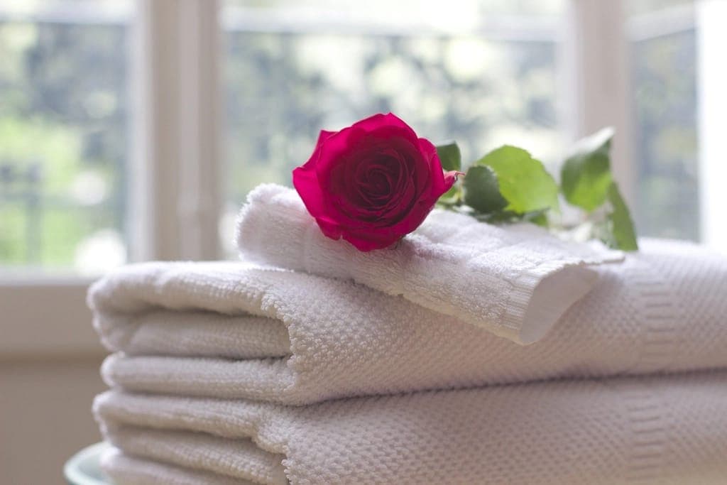 Khăn trắng xếp gọn với bông hồng đỏ bên cửa sổ